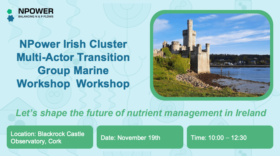 From sea to system: Towards a circular blue economy