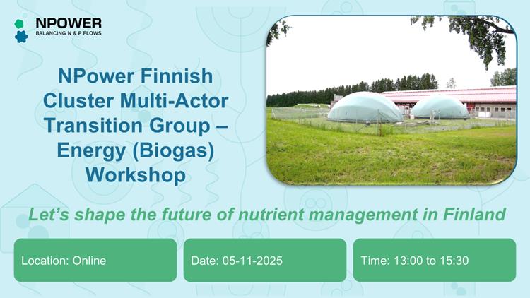Energía inteligente para un futuro circular: workshop sobre biogás y gestión de nutrientes en Finlandia