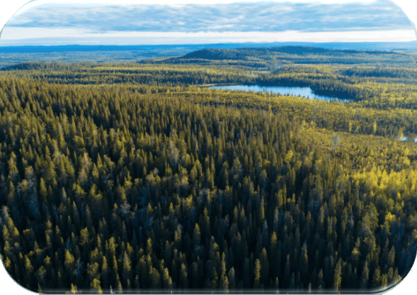 Finland’s Primary Sectors: Workshop on Nutrient Management