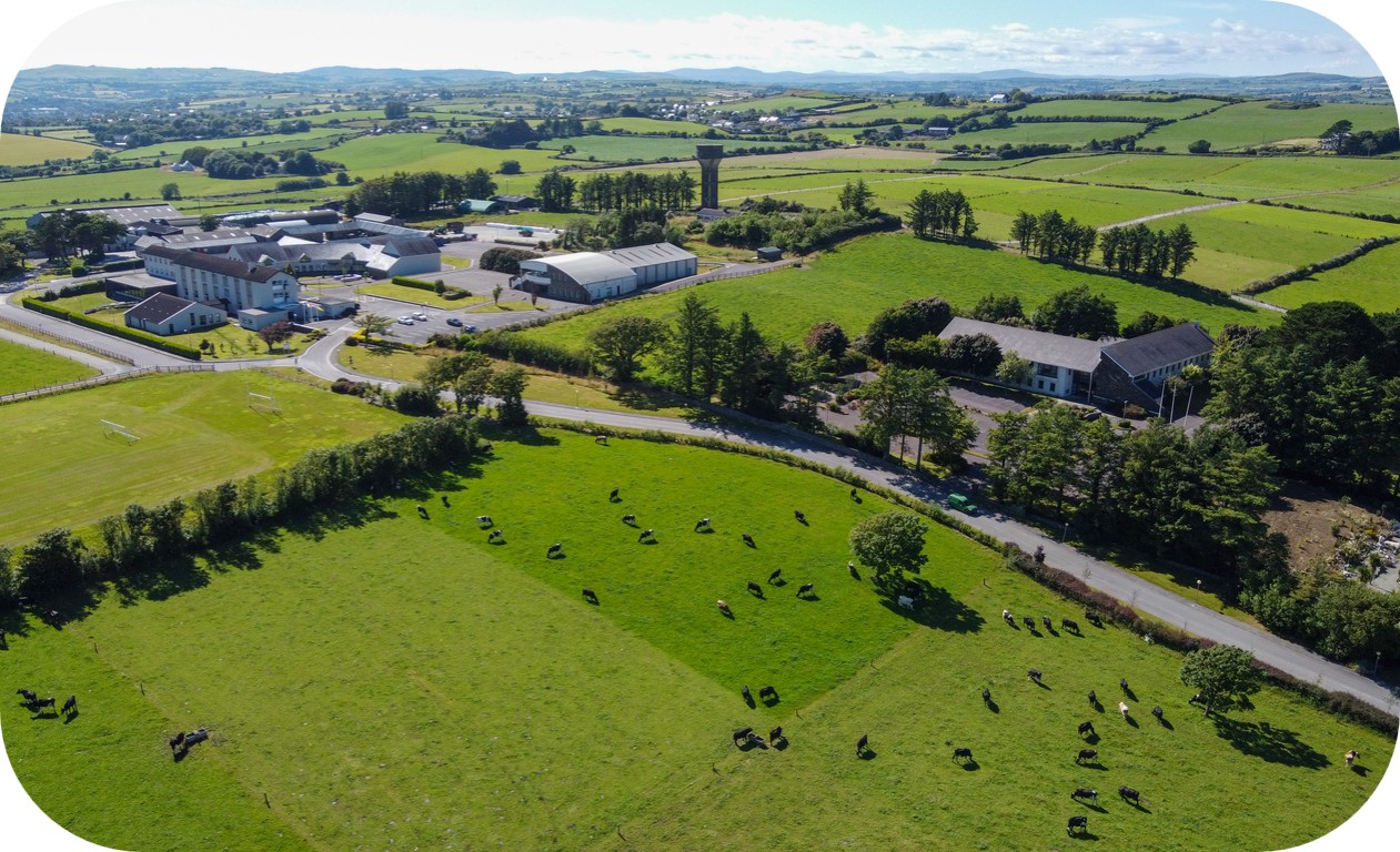 Energía renovable e infraestructuras de transporte para la valorización de residuos agroalimentarios