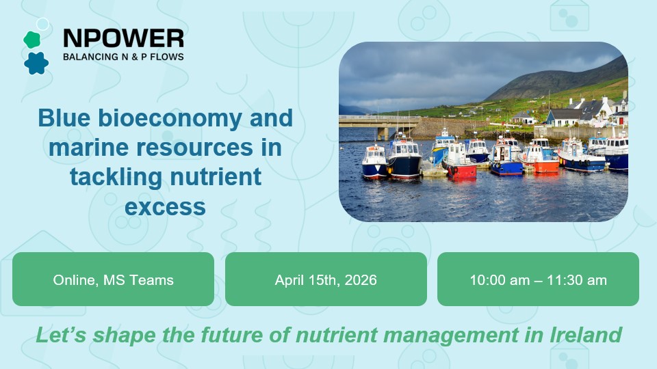 Blue Bioeconomy and Marine Resources in Tackling Nutrient Excess