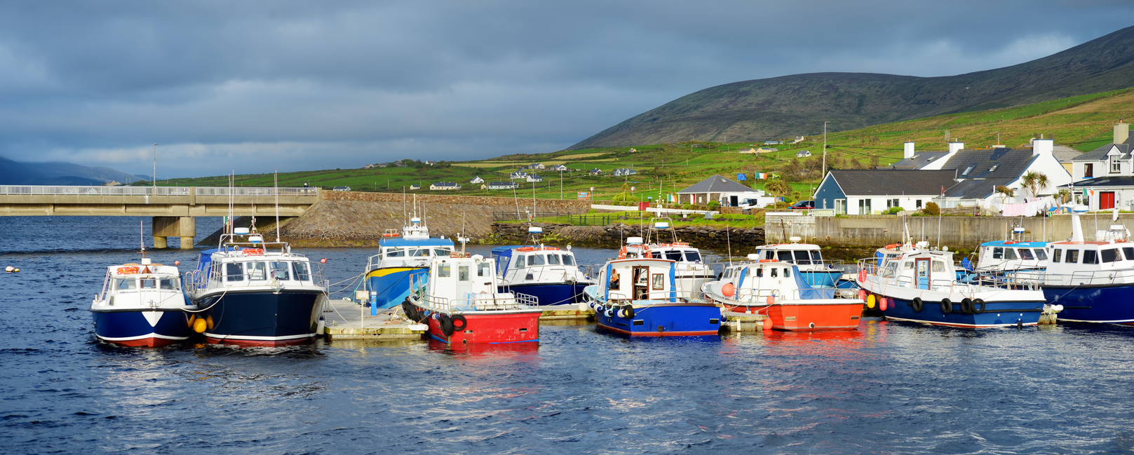 Blue Bioeconomy and Marine Resources in Tackling Nutrient Excess