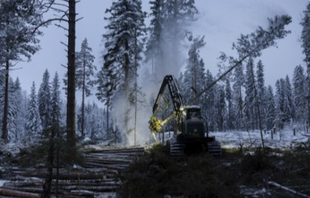 Improving Nutrient Use in Industry