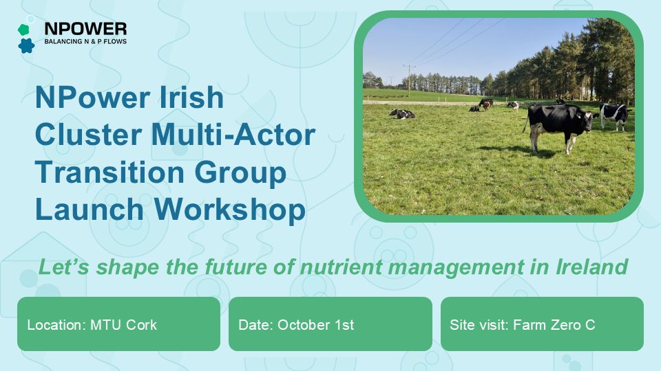 Workshop de lanzamiento para el MAT de Agricultura en Irlanda
