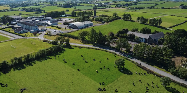 Renovación generacional: construyendo el futuro de la agricultura irlandesa