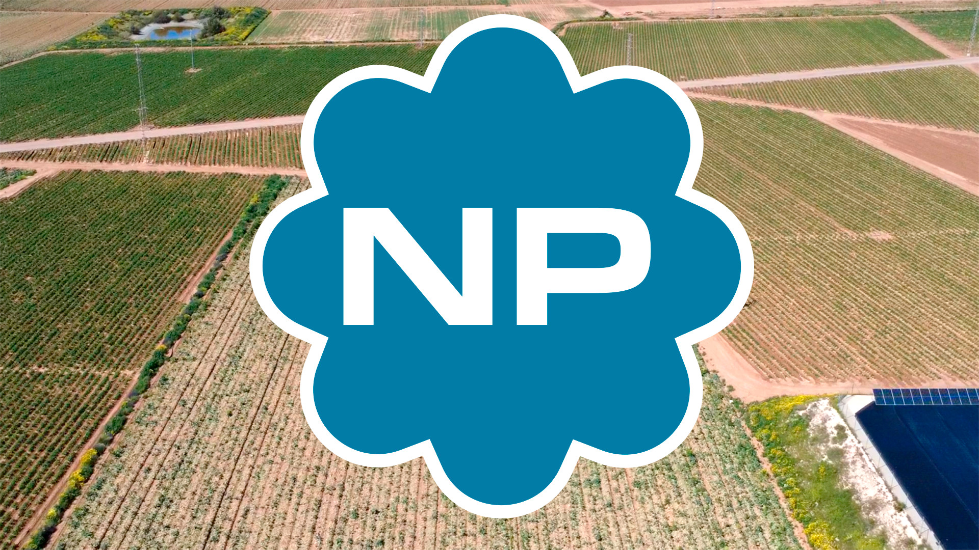 NPower en pocas palabras – EP1: ¿Por qué es tan importante el proyecto NPower para la Región de Murcia?