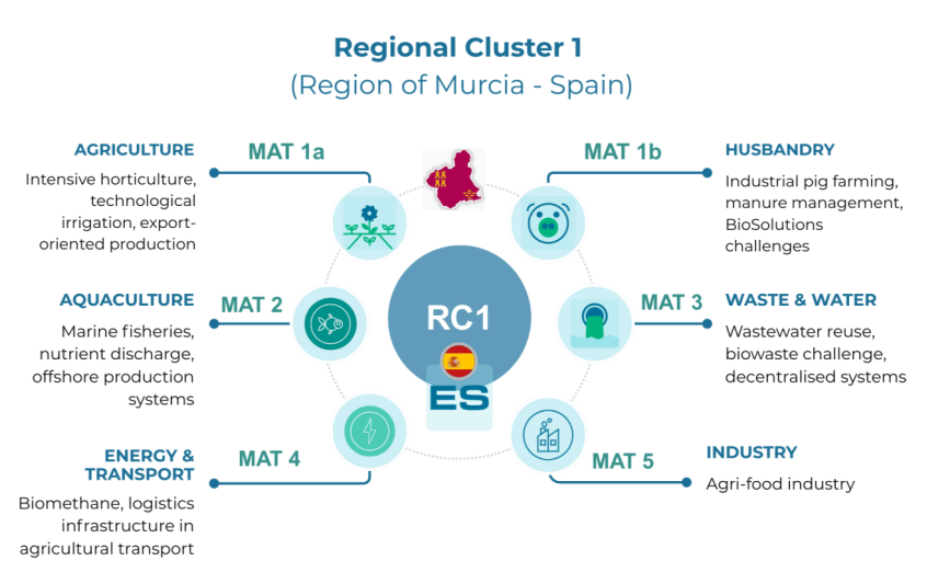 Regional Clusters 1 Spain